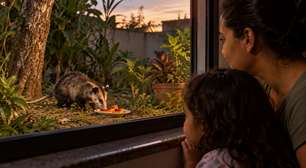 Família começou a deixar frutas para um pequeno visitante que aparecia no quintal todas as noites, achou divertido durante semanas e mudou de ideia quando descobriu onde ele tinha decidido morar