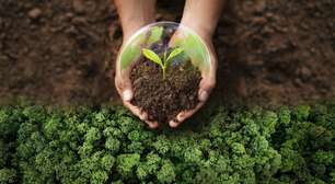 Agricultura regenerativa ganha força em São Paulo com articulação de produtores e empresas