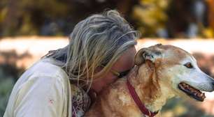 Seu cachorro aprende sua rotina, sua voz e até mesmo seu cheiro: é por isso que ele percebe quando você não está se sentindo bem