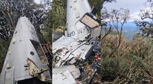 Cabine destruída, cauda partida, árvores arrancadas: o que mostram os destroços do helicóptero de Rick