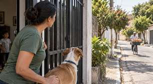 Cachorro começou a sentar diante do portão todos os dias no mesmo horário, a família achou que ele esperava alguém e descobriu que o verdadeiro compromisso acontecia quando o padeiro virava a esquina