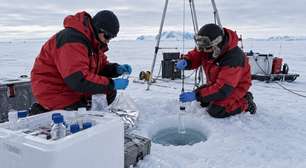 Sob o gelo polar, a água líquida ainda sustenta organismos adaptados à escuridão, e a temperatura não é o único limite para a vida