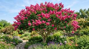 Jardineiros o recomendam: a árvore que floresce 90 dias por ano, necessita de pouca manutenção e traz muita cor ao jardim
