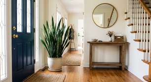 Onde colocar a língua de sogra em casa para aumentar a prosperidade, segundo o Feng Shui