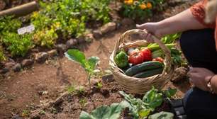 Do produtor ao prato: como o farm-to-table transforma a gastronomia