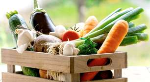 Dicas infalíveis para escolher verduras e legumes frescos