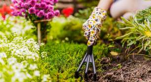 Primavera no jardim: evite estes 5 erros ao cuidar das plantas