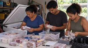 Família manteve um freezer antigo ligado na garagem por anos porque acreditava que ainda guardava alimentos importantes, até faltar energia por algumas horas e alguém finalmente decidir abrir todas as caixas do fundo