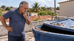 Família começou a reclamar que a água da torneira estava com gosto estranho, culpou o abastecimento da rua e descobriu o problema quando alguém resolveu subir para olhar a caixa d'água