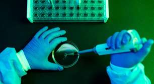 Um em cada oito casos de câncer provavelmente é causado por infecções por vírus ou bactérias, aponta novo estudo