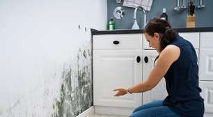 Mofo em casa: 7 cuidados para evitar o problema