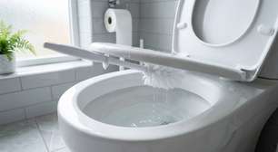 Deixar a escova sanitária pingando dentro do suporte depois da limpeza: o hábito que mantém umidade onde ela menos deveria ficar