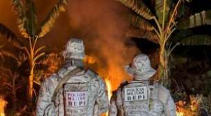 Polícia Militar prende seis homens e uma mulher em operação contra cultivo de maconha no Sertão de Pernambuco