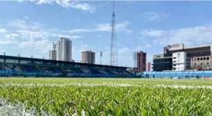 Série C: o que o Paysandu precisa para se manter vivo e subir?