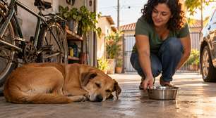 Família encontra um cachorro dormindo na garagem durante vários dias, começa a alimentá lo e entra em conflito quando o verdadeiro tutor aparece dizendo que o animal nunca esteve abandonado