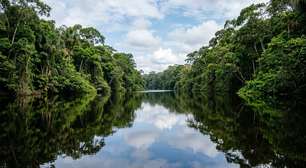 Rios de águas escuras, praias de areia clara, petróglifos e uma floresta tropical quase contínua: o parque amazônico de mais de 2,2 milhões de hectares reconhecido pela Unesco como Patrimônio Mundial