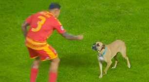 Vídeo: cão invade campo e interrompe jogo da Liga das Nações