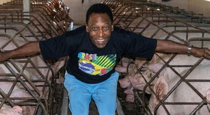 Há 70 anos, Pelé comprou 661 hectares no Vale do Ribeira, chegou a criar 1.400 animais e agora tudo está à venda por R$ 35 milhões