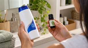 Três ingredientes populares contra a caspa: o que funciona e quais cuidados tomar com vinagre, babosa e melaleuca
