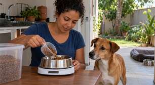 Família percebe que o cachorro está ganhando peso mesmo com a ração controlada e descobre que três vizinhos diferentes davam comida pelo portão