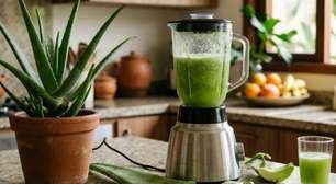 A babosa saiu do vaso, foi parar no liquidificador e virou suco. O problema é que nem tudo o que existe dentro da folha pode ser tratado da mesma forma quando o assunto é consumo.