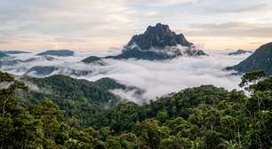 Uma montanha de 2.995,3 metros, expedições de 10 dias e território compartilhado com povos indígenas: o parque de 2,25 milhões de hectares que abriga o ponto mais alto do Brasil