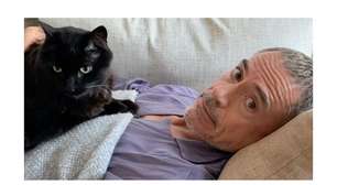 Robert Downey Jr., o eterno Homem de Ferro, hoje aos 61 anos: 'Entender a maneira como os gatos brincam e brigam é entender os segredos do universo'