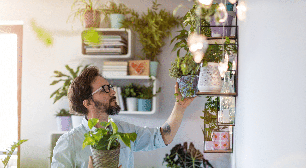 Quer renovar as energias da casa? Conheça 7 plantas associadas à proteção e à prosperidade