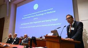 Trio que descobriu canais iônicos fotossensíveis leva Nobel de Medicina 2026