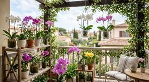 Orquídeas na varanda: cuidados e 9 ideias para um cantinho florido