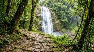 Uma caminhada de cerca de 50 quilômetros em três dias, cachoeiras e trechos de calçamento dos tempos da Coroa: a travessia histórica que cruza a Serra da Bocaina entre São Paulo e Rio de Janeiro