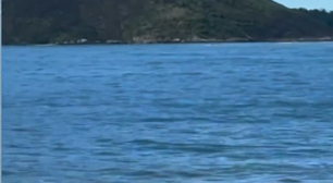 Elefante-marinho volta a chamar a atenção de banhistas em praias do RJ
