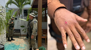 Macaco-prego invade casas na Bahia, ingere álcool e deixa feridos antes de ser capturado pela Polícia