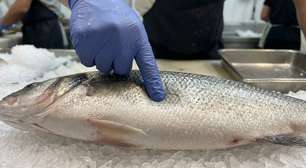 Comprar peixe com a carne mais clara ou mais escura: a cor sozinha não revela o frescor, e o cheiro suave e a firmeza dizem mais