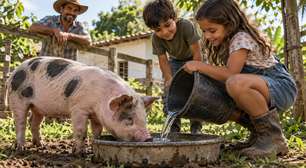 Família compra um leitão para criar no sítio, crianças dão nome ao animal e o almoço de fim de ano vira discussão quando percebem qual era o plano dos adultos desde o início