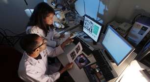 IA ajuda cientistas a identificar moléculas com potencial para o envelhecimento saudável