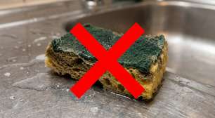 Usar a mesma esponja de cozinha por semanas parece normal enquanto ela ainda está inteira, mas na Alemanha a orientação é preferir escovas laváveis: esponjas úmidas secam lentamente e podem favorecer a multiplicação de bactérias