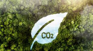 Crédito de carbono de alta qualidade sobe 75%, diz MSCI