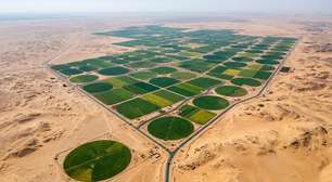 O Egito está convertendo milhões de hectares de deserto em terras agrícolas utilizando água reciclada