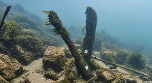 Arqueólogos suíços iam revisar as obras de uma passagem ferroviária e encontraram uma joia oculta embaixo: uma ponte romana de quase 2 mil anos
