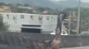 Emu é visto correndo em viaduto no Rio de Janeiro; homem que resgatou animal é identificado