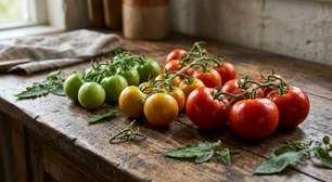 Tomate na geladeira ou na bancada: qual é o melhor lugar para conservar o sabor depois da compra?