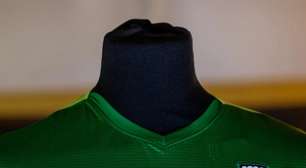 Pro Vercelli lança camisa verde em homenagem ao Palmeiras