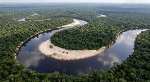 Mais de 2,2 milhões de hectares de floresta amazônica contínua e uma bacia inteira de águas pretas: o parque do Amazonas que é o único do Brasil a proteger praticamente toda a bacia hidrográfica de um rio desse tipo