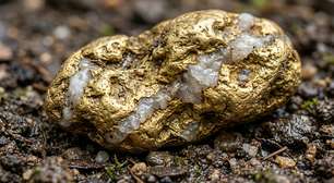 Minerador encontrou no Alasca a maior pepita de ouro do estado: peça de 9,14 kg foi vendida por US$ 750 mil