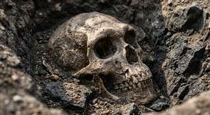 Cientistas leram o DNA de 27 neandertais e encontraram uma assimetria intrigante: eles não carregavam sinais recentes de Homo sapiens, embora nossos ancestrais carregassem DNA neandertal