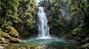 Das montanhas acima de 2.000 metros até o nível do mar em quase 106 mil hectares: o parque entre Rio de Janeiro e São Paulo que reúne a Trilha do Ouro, cachoeiras e até uma praia em plena Mata Atlântica