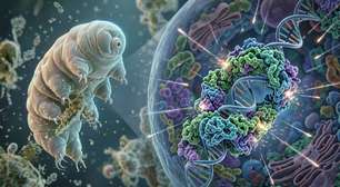 Ao introduzir o gene de um tardígrado japonês em células humanas, cientistas dotaram nosso DNA de uma proteção que a evolução nunca nos concedeu