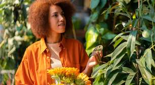 Cinco benefícios da jardinagem para a saúde mental