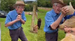 Idoso de 93 anos se emociona ao ganhar casal de carneiros de fisioterapeuta; assista